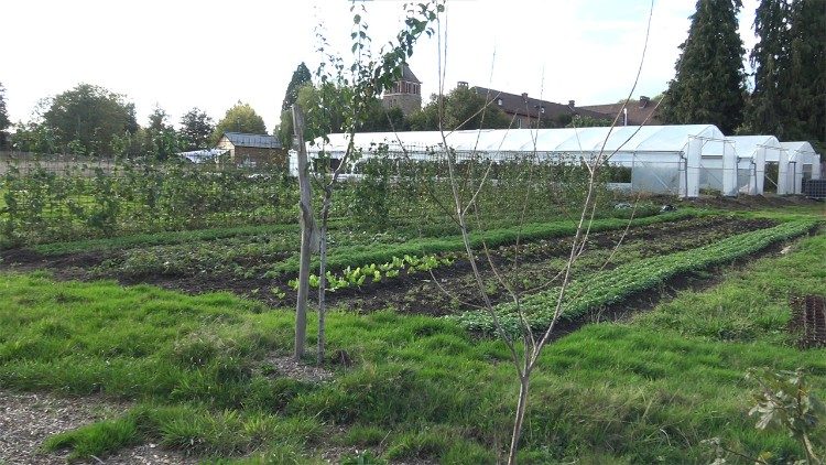 A horta do ex-Carmelo de Mehagne