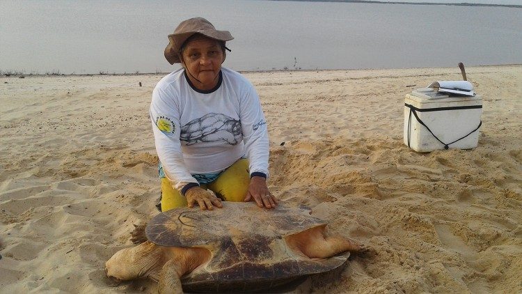 Morada faz marcação de tartarugas adultas em Terra Santa