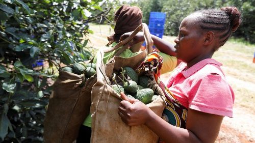 Santa Sé aos jovens agricultores: vocês têm a inteligência para acabar com a fome no mundo