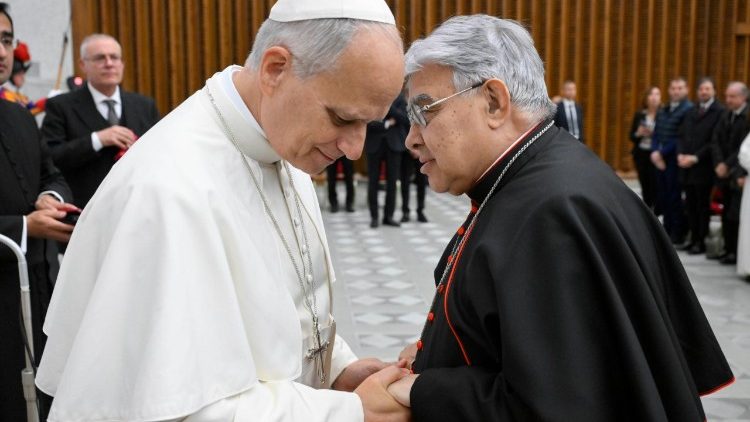 Leão XIV com o cardeal Semeraro, o prefeito do Dicastério para as Causas dos Santos